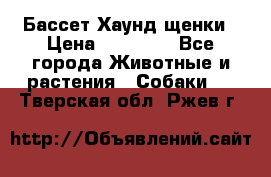 Бассет Хаунд щенки › Цена ­ 20 000 - Все города Животные и растения » Собаки   . Тверская обл.,Ржев г.